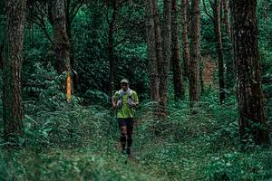 BIB: 
                            <button type="button" onclick="openModal(25236741)" class="btn btn-primary btn-sm float-right btn-popup" data-toggle="modal" data-target=".modal-high-quality">
                        <i class="fas fa-shopping-cart"></i> Add to Cart
                    </button>
                                            <button type="button" onclick="isThisMe(25236741, true)" class="btn btn-success btn-sm float-right btn-popup btn-isme hidden" data-toggle="tooltip" data-placement="bottom" title="นี่คือรูปของคุณใช่ไหม คลิกที่นี่เพื่อเอาเข้าอัลบั้ม">
                        <i class="fas fa-plus"></i> Add to album
                    </button>
                    <button type="button" onclick="isThisMe(25236741, false)" class="btn btn-warning btn-sm float-right btn-popup btn-isnotme hidden">
                        <i class="fas fa-ban"></i> Remove from album
                    </button>